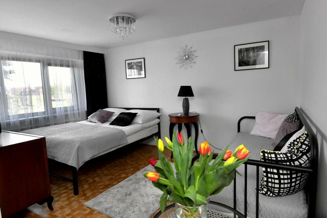 Apartament Spytkowice - Energylandia Krakow Oswiecim Wadowice Eksteriør bilde